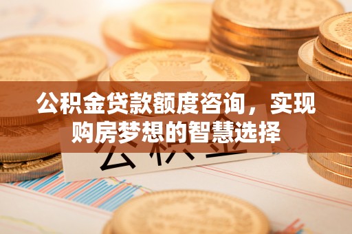 朝天公积金贷款额度咨询，实现购房梦想的智慧选择