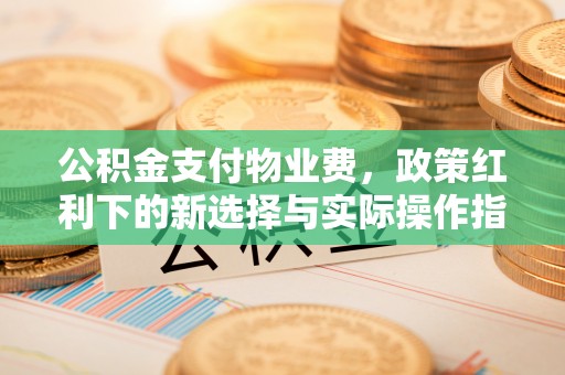 朝天公积金支付物业费，政策红利下的新选择与实际操作指南