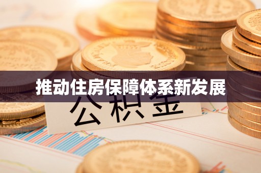 朝天推动住房保障体系新发展