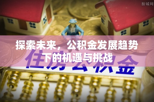 朝天探索未来，公积金发展趋势下的机遇与挑战